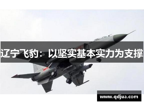 辽宁飞豹：以坚实基本实力为支撑